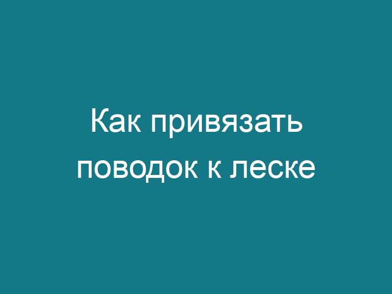 Как привязать поводок к леске