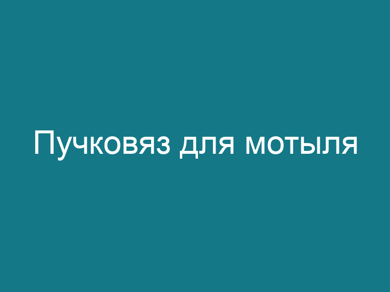 Пучковяз для мотыля